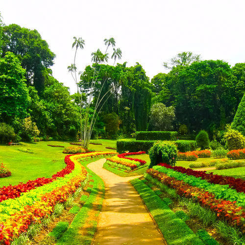 تور سریلانکا